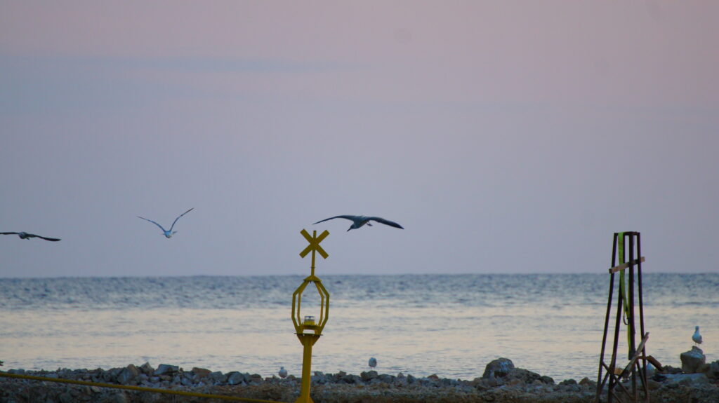 sony dsc